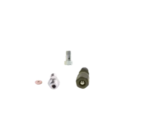 Injection System Valve